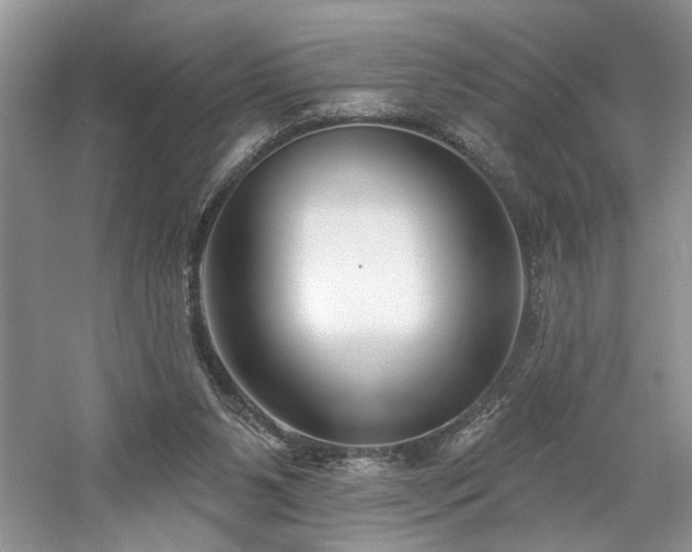 X0000061750111200512021522