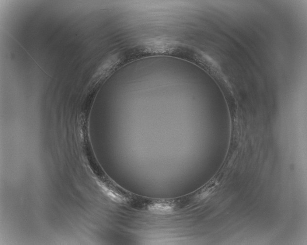 X0000061750114200512021522