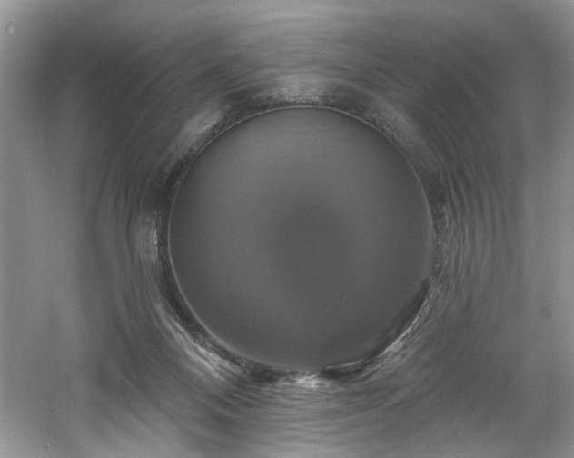 X0000061750120200512021522