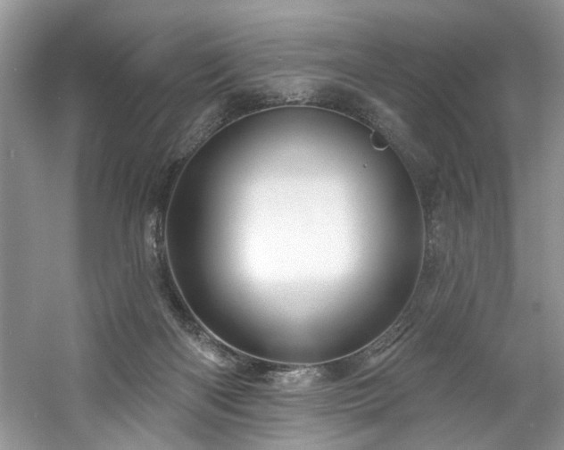 X0000061750122200512021522