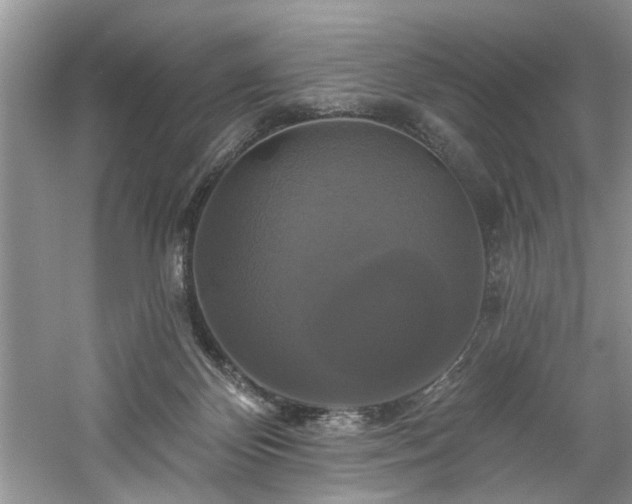 X0000061750124200512021522