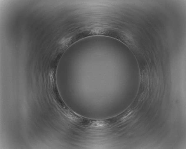 X0000061750127200512021522