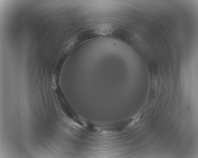 X0000061750128200512021522