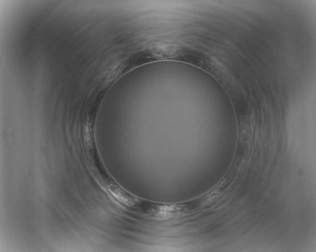 X0000061750130200512021522