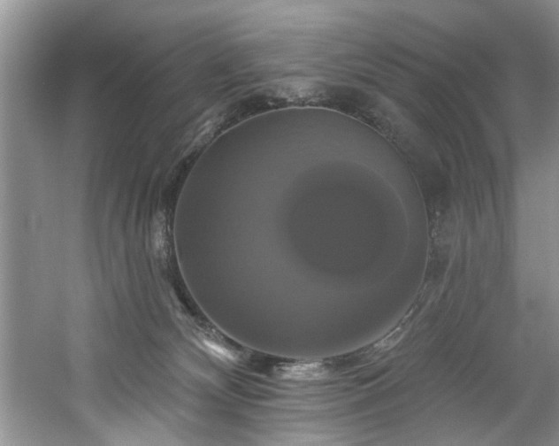 X0000061750132200512021522