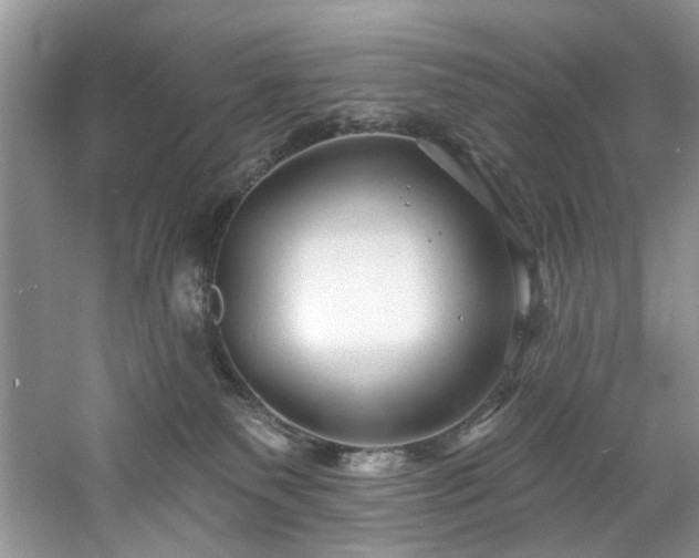 X0000061750135200512021522