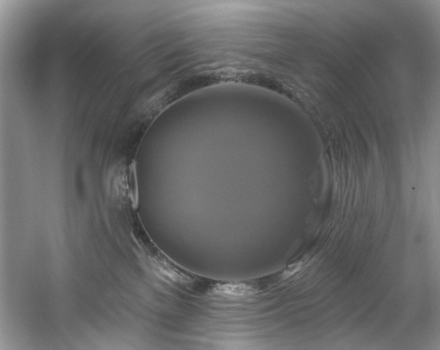 X0000061750137200512021522