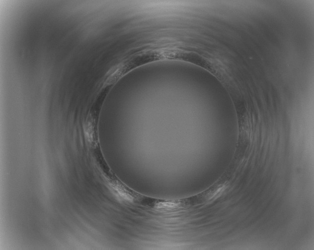 X0000061750139200512021521