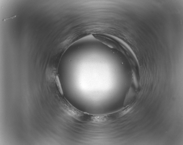X0000061750141200512021521