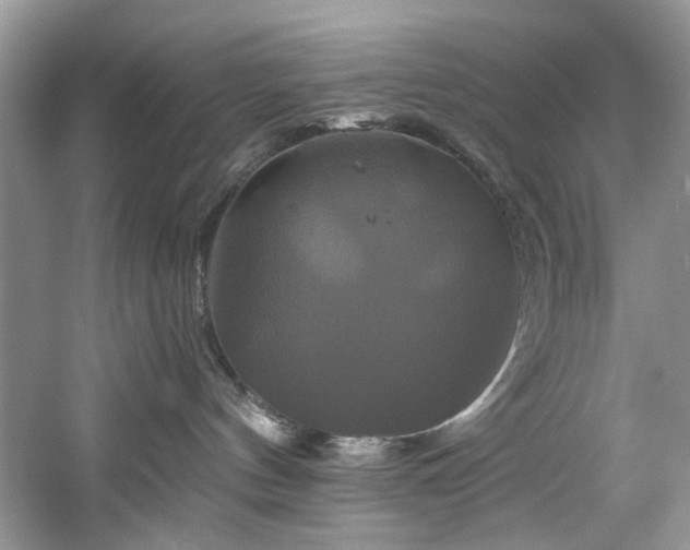 X0000061750144200512021521