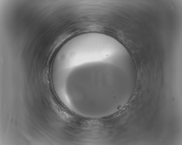 X0000061750146200512021521