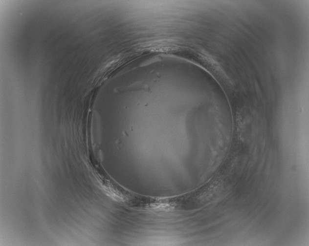 X0000061750161200512021521