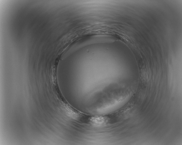 X0000061750181200512021521