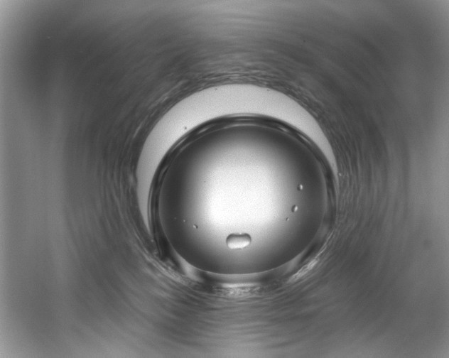 X0000061750184200512021521