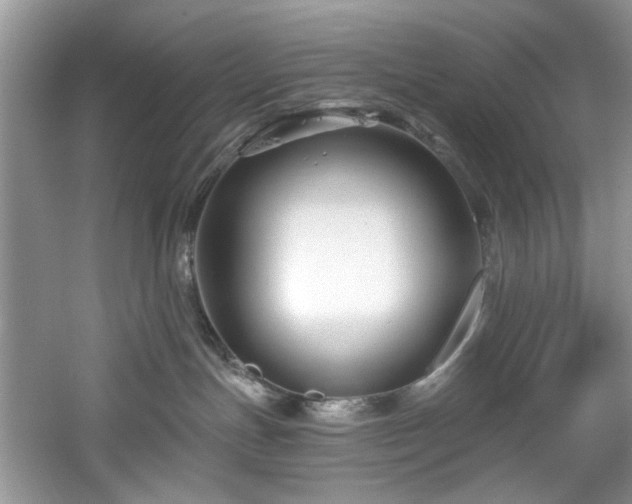 X0000061750191200512021521