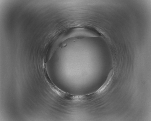 X0000061750192200512021521