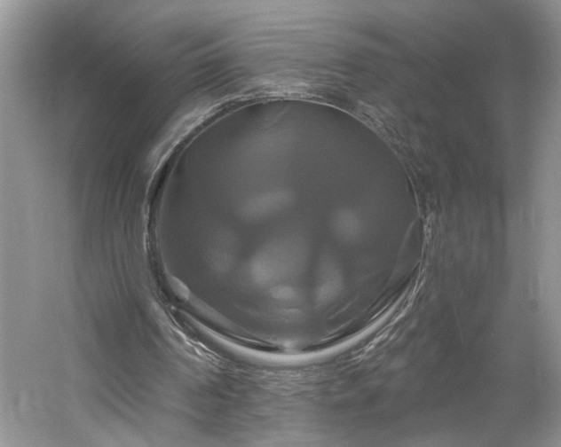 X0000061750194200512021521
