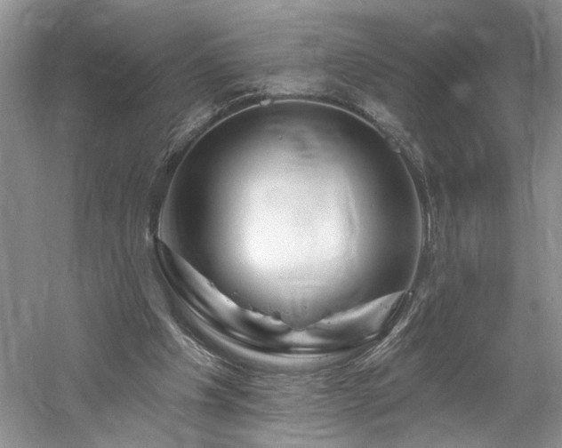 X0000061750201200512021520
