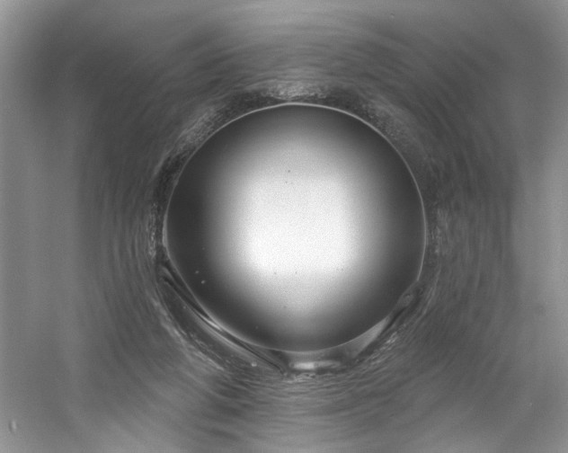 X0000061750210200512021520