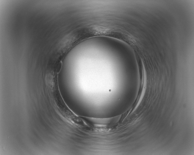 X0000061750215200512021520
