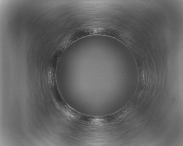 X0000061750222200512021520