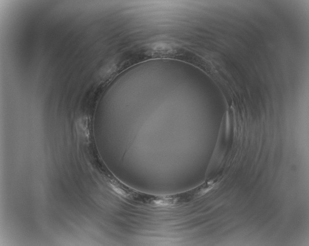 X0000061750232200512021520
