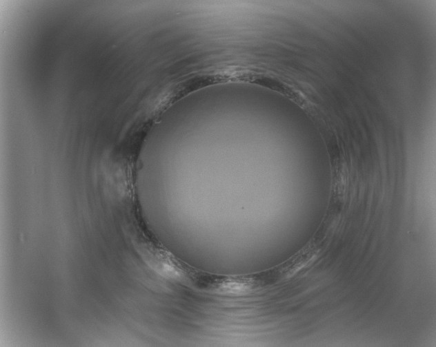 X0000061750236200512021520