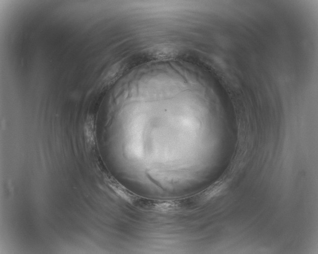 X0000061750240200512021520