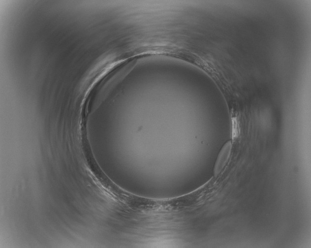 X0000061750243200512021519
