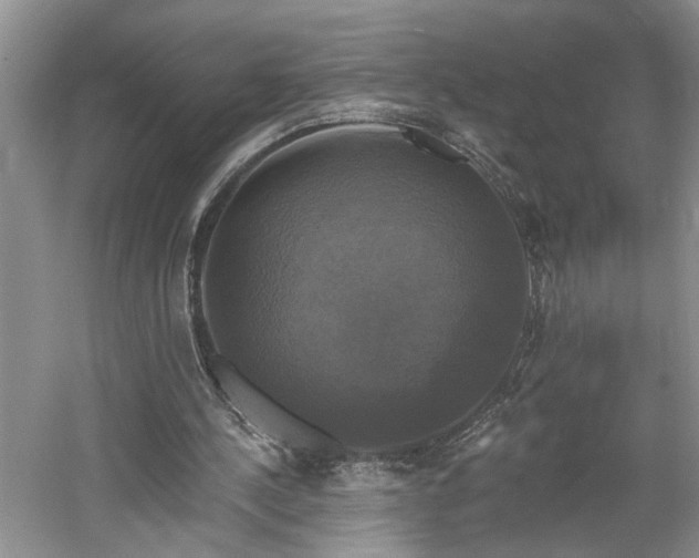 X0000061750244200512021519
