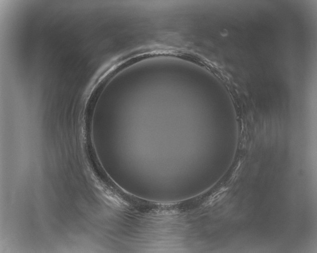 X0000061750247200512021519