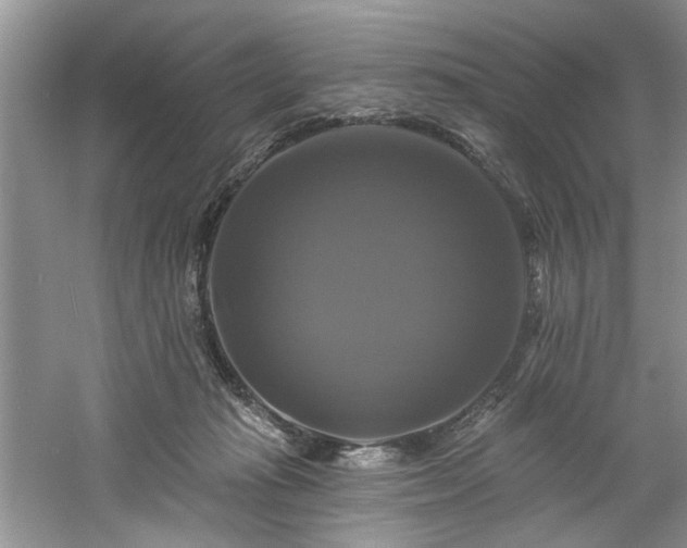 X0000061750269200512021519