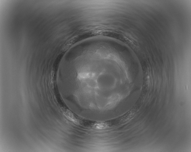 X0000061750275200512021519