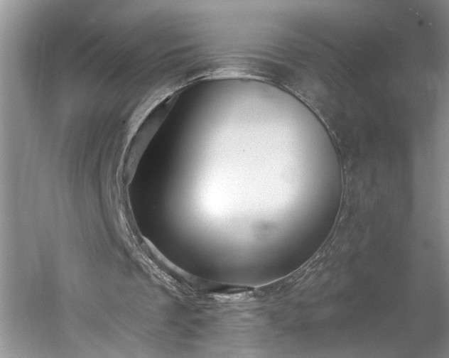 X0000061750289200512021519