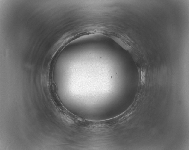 X0000061750291200512021519