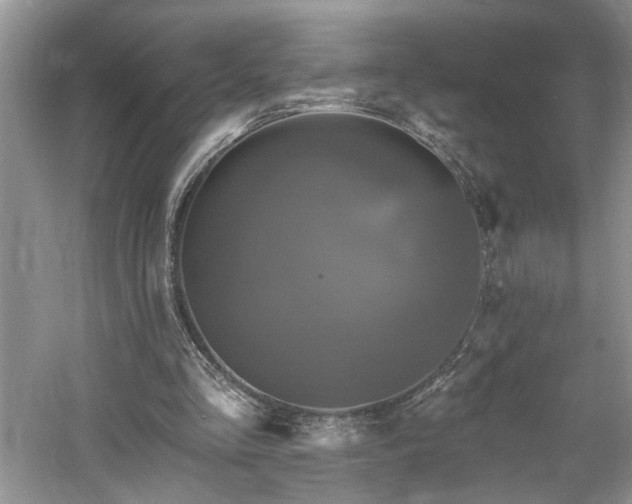 X0000061750293200512021519