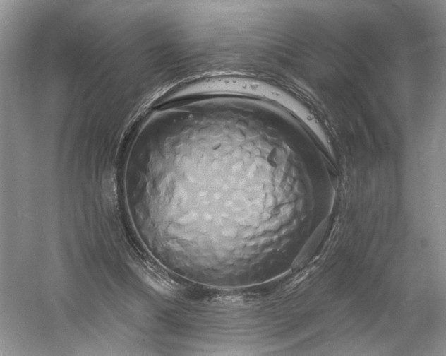 X0000061750298200512021519