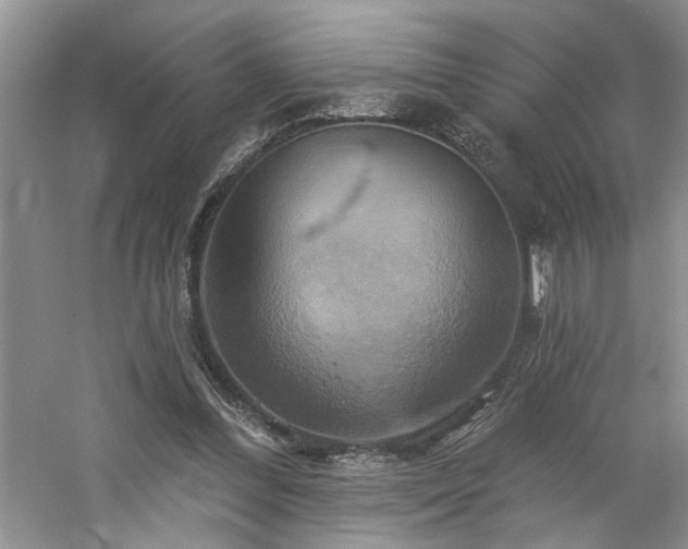 X0000061750300200512021519