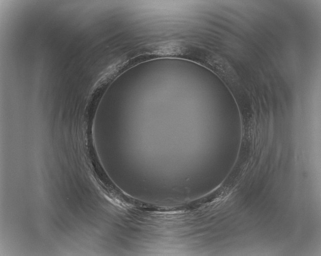 X0000061750303200512021519