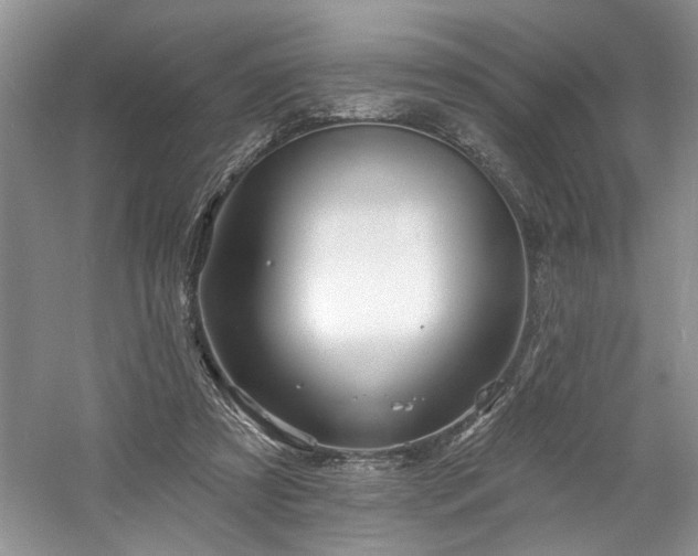 X0000061750305200512021519