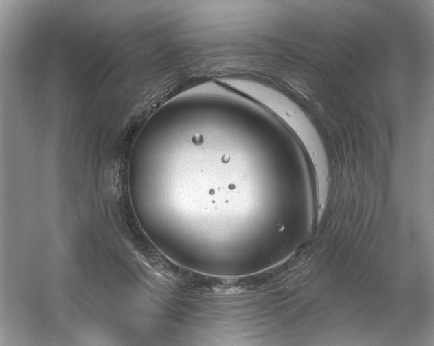 X0000061750311200512021518