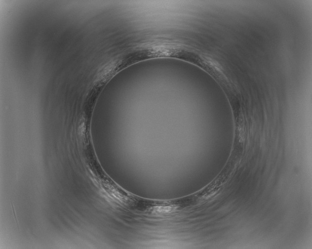 X0000061750314200512021518
