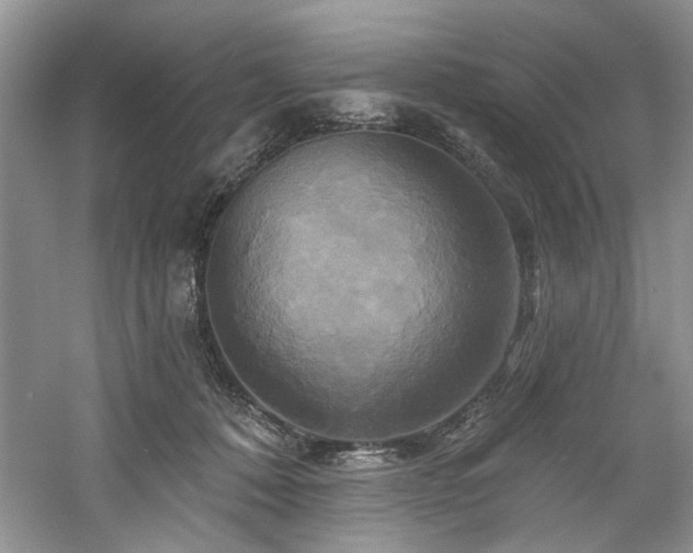 X0000061750320200512021518