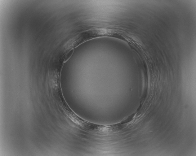 X0000061750325200512021518