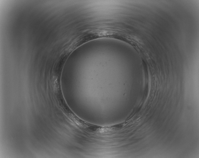 X0000061750327200512021518