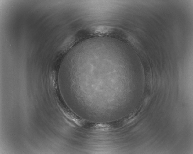 X0000061750328200512021518