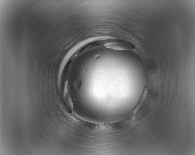 X0000061750329200512021518