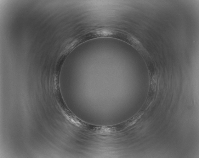 X0000061750330200512021518