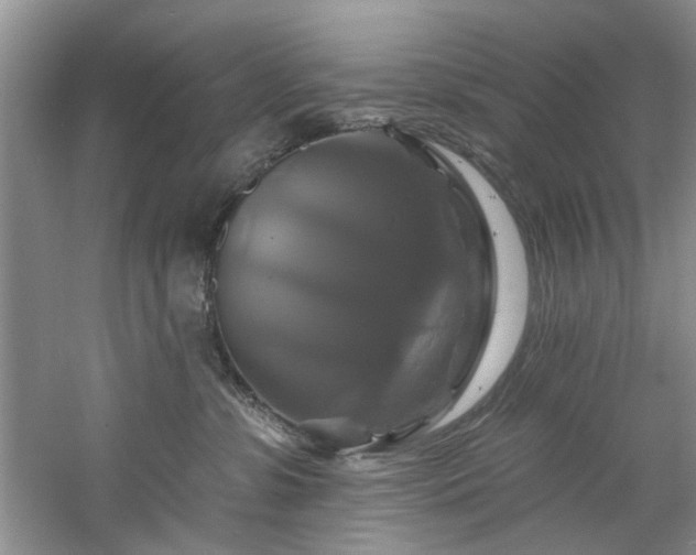 X0000061750331200512021518
