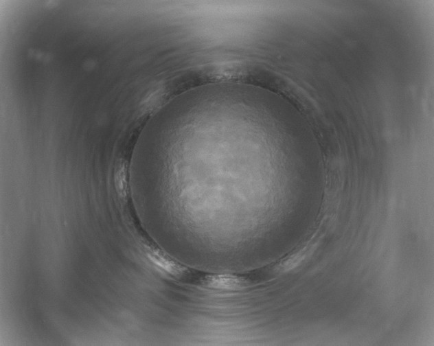 X0000061750336200512021518